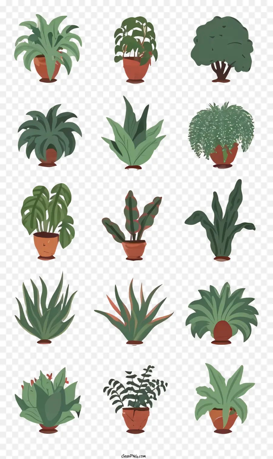 مجموعة من النباتات，الأواني PNG