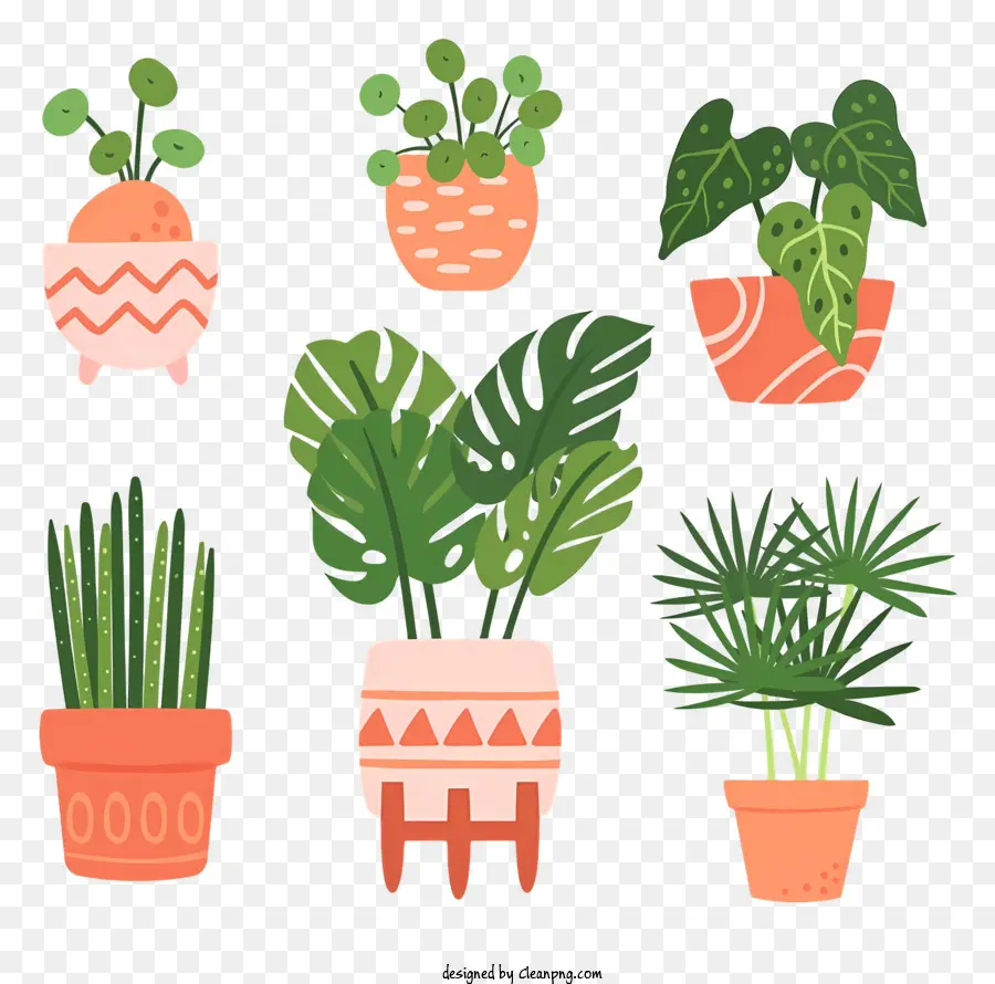 نباتات الأصص，الأشكال PNG