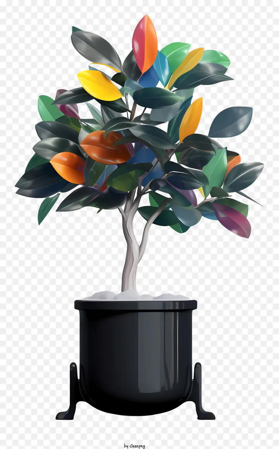 شجرة مع وعاء أسود，ألوان الأوراق الخضراء PNG