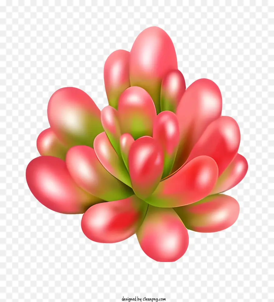 زهرة الوردي，ينبع الأخضر PNG