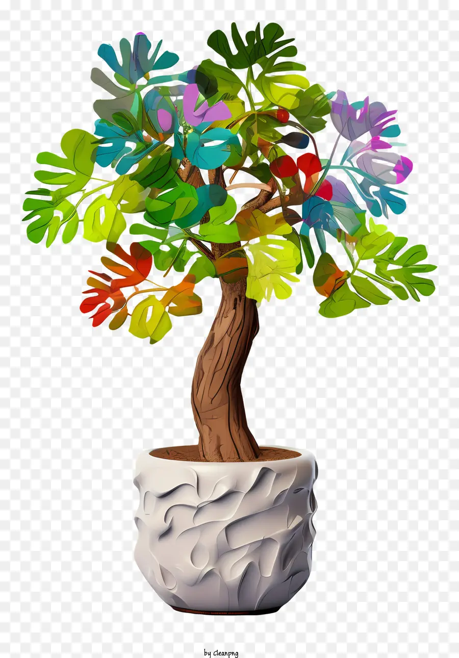 شجرة بونساي，Papo R Bonsai PNG