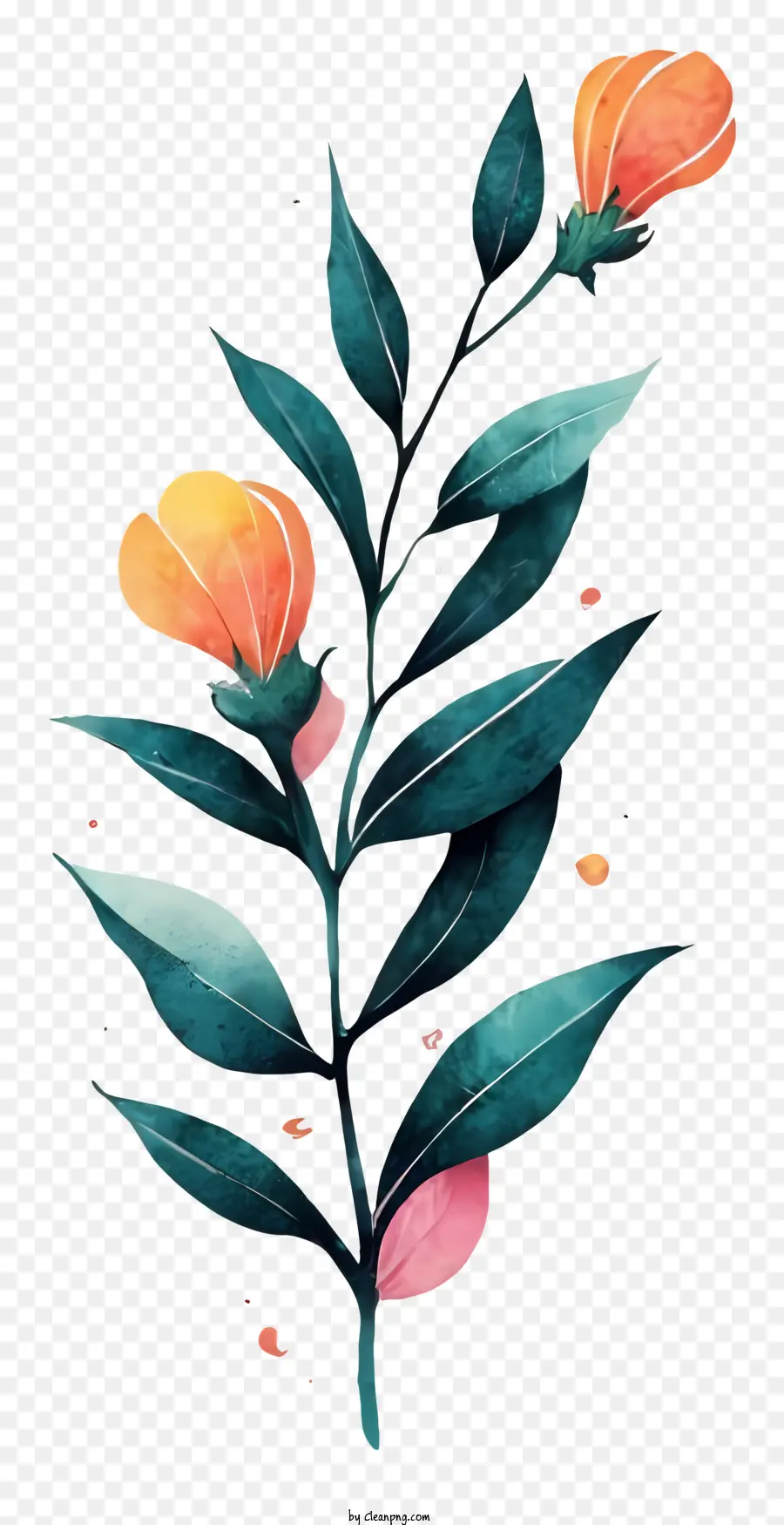 الزهور，زهور البرتقال PNG