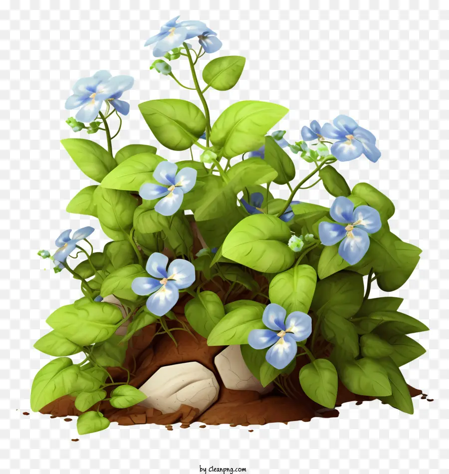 الزهور，الزهور الزرقاء PNG