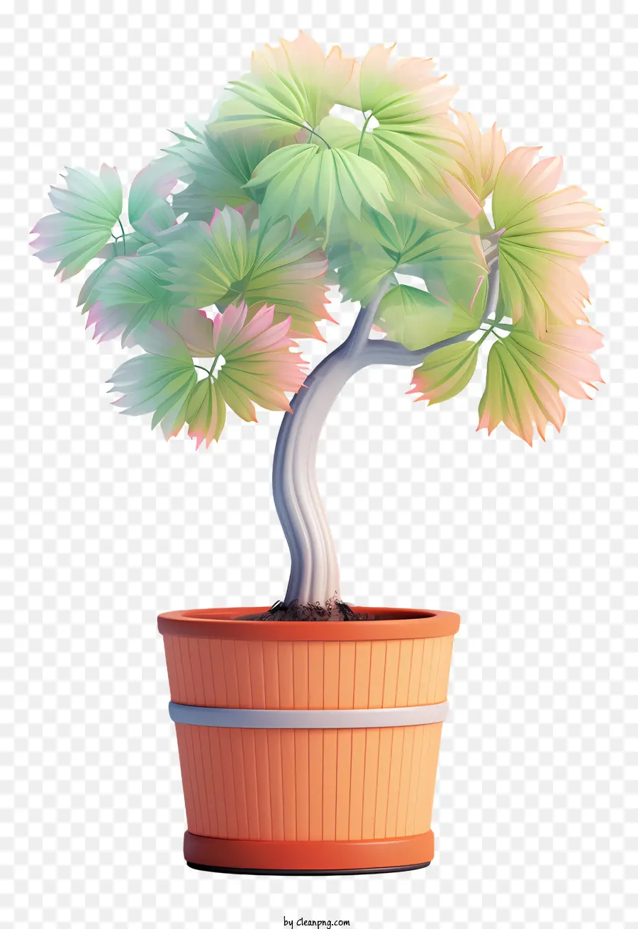 شجرة بونساي，محفوظ بوعاء النباتات PNG
