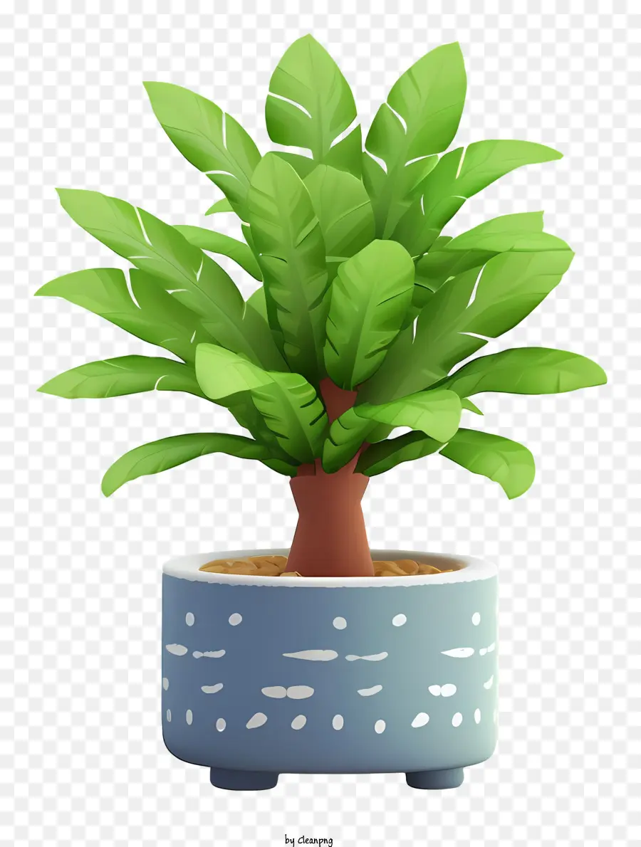 نبات في وعاء من السيراميك الأزرق，النبات الأخضر الورقية PNG
