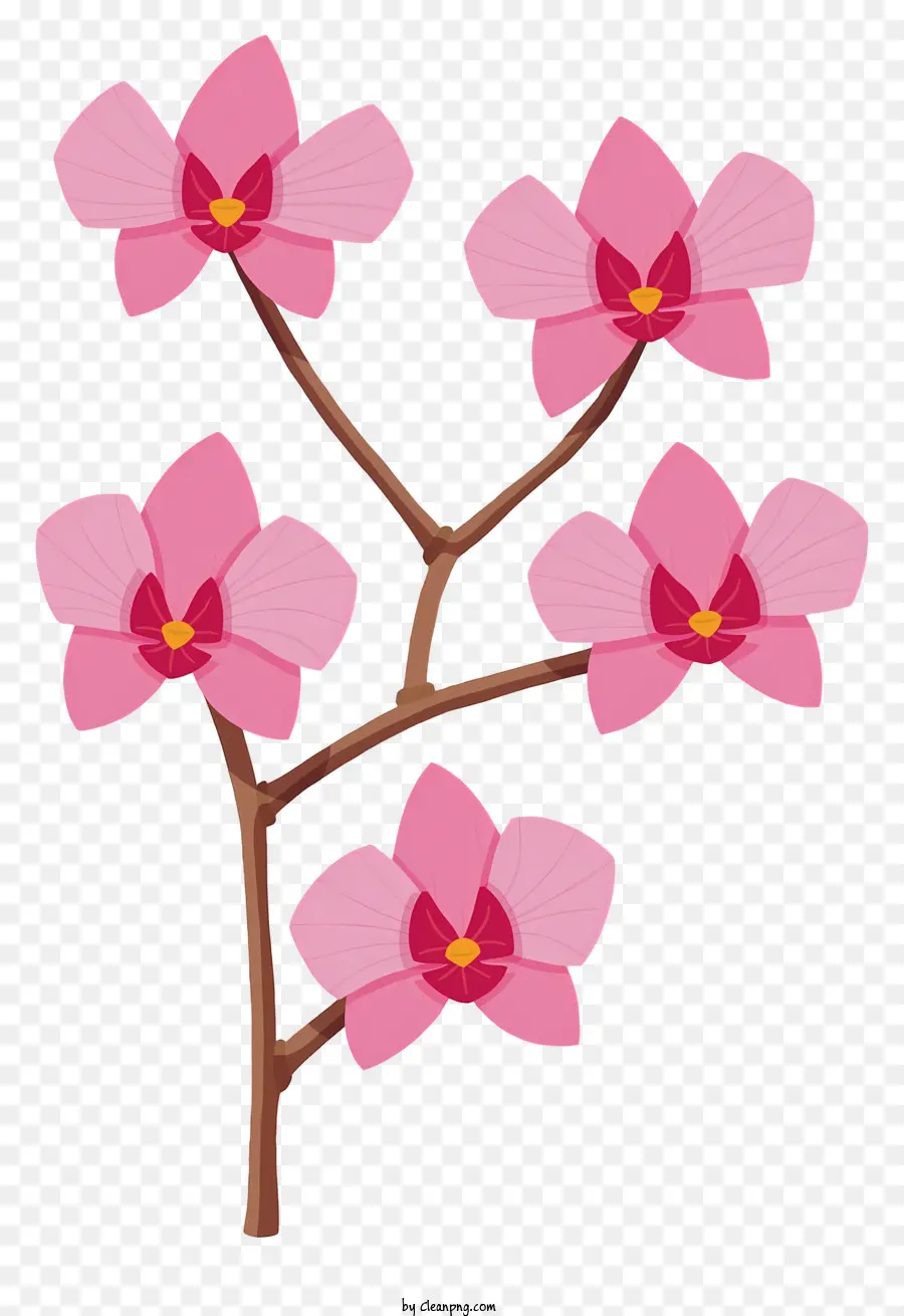 السحلبية الوردية，الزهور الوردية PNG