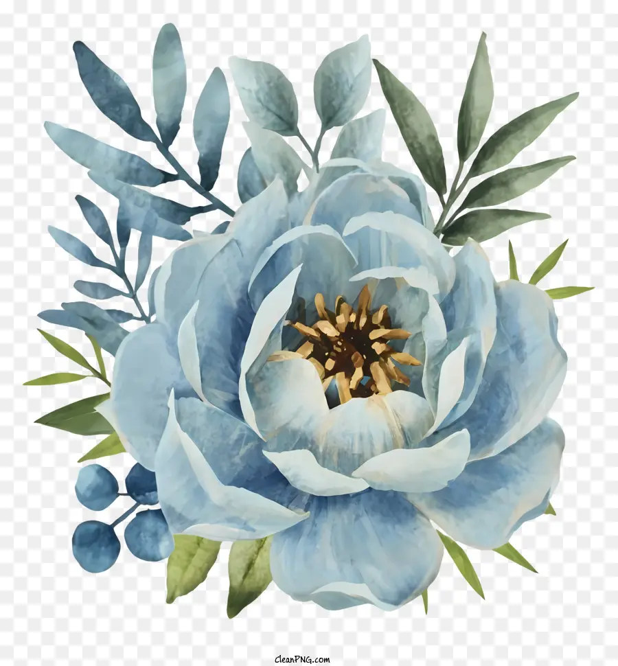الرسم بالألوان المائية，زهرة الفاوانيا الزرقاء PNG