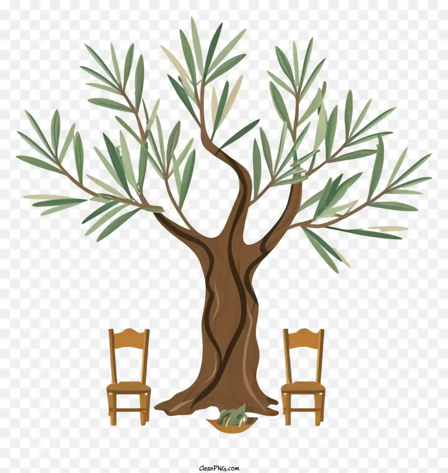 شجرة الزيتون，لا تزال الحياة PNG