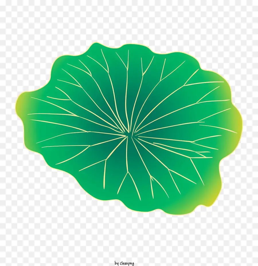 ورقة خضراء，شكل دائري PNG