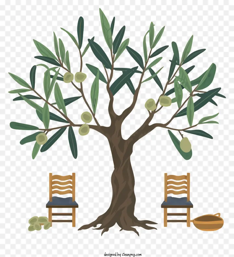 شجرة الزيتون，الكراسي PNG