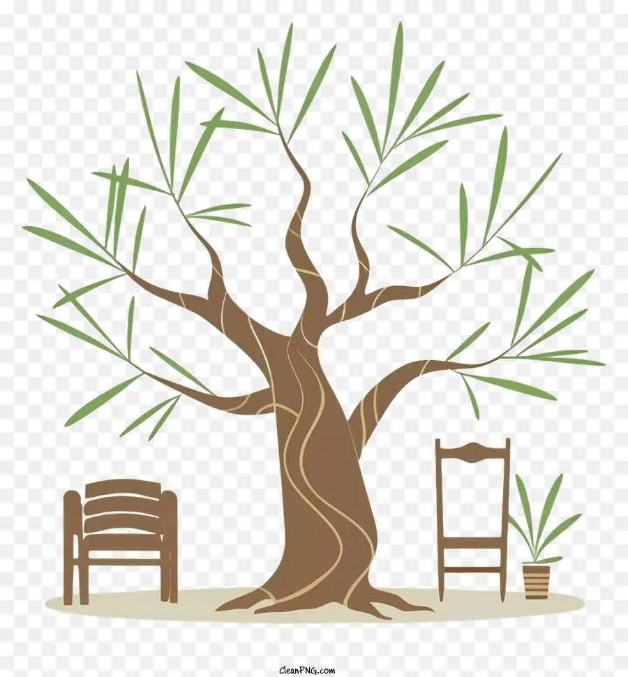 شجرة الزيتون，الكراسي PNG