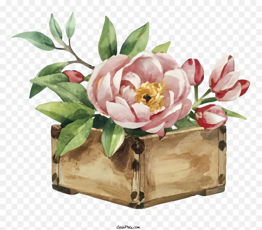 الفاوانيا الوردي，مزهرية الصندوق الخشبية PNG