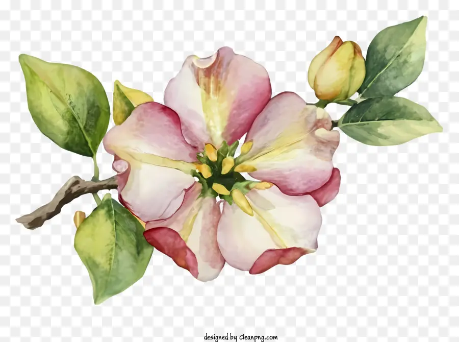 لوحة زهرة وردية，العمل الفني للزهور الواقعية PNG