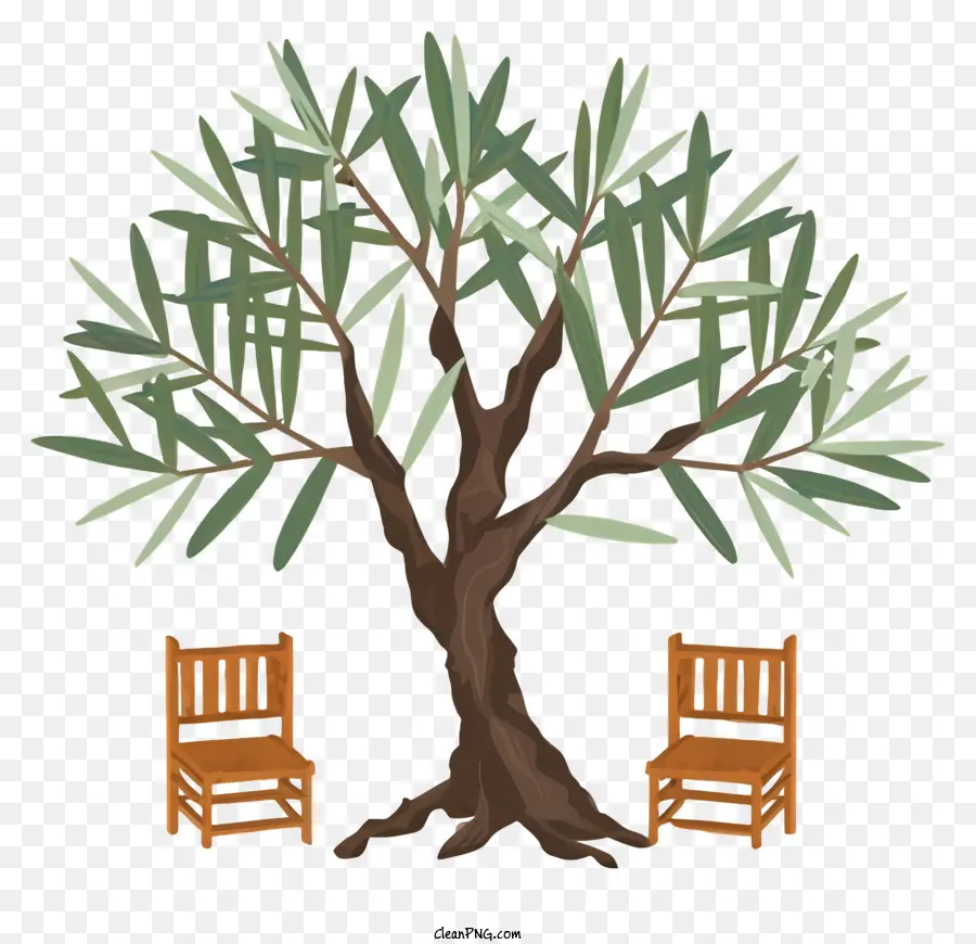 شجرة الزيتون，كراسي خشبية PNG