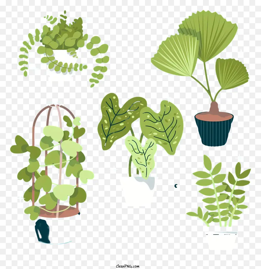 النباتات，جمع PNG