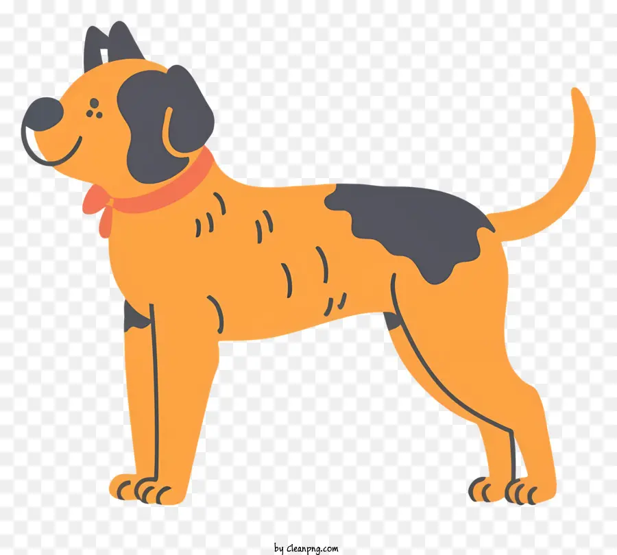 الكلب，طوق برتقالي PNG