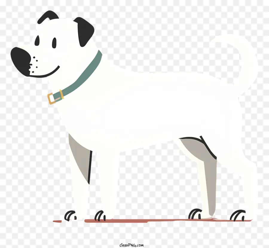 الكلب الأبيض，ذوي الياقات البيضاء PNG