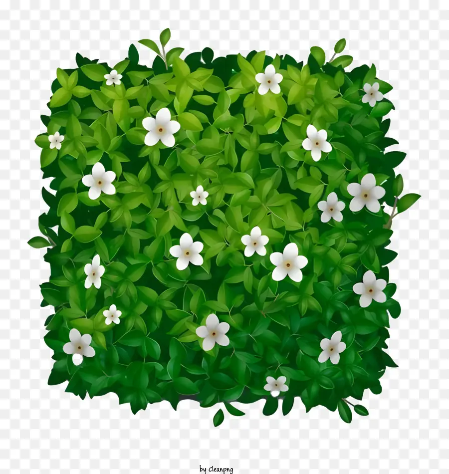 باقة خضراء وبيضاء，الزهور PNG