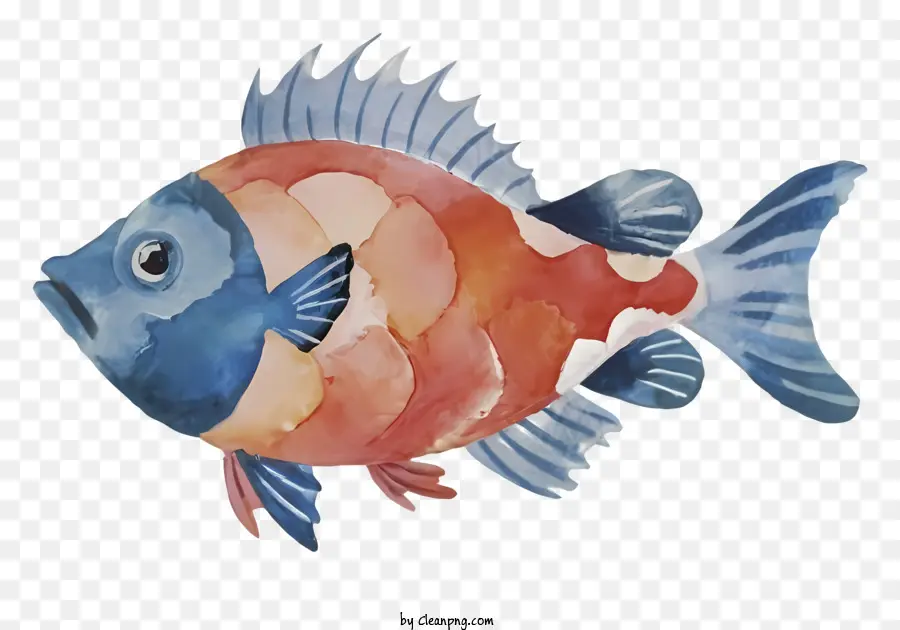 اللوحة，الأسماك PNG