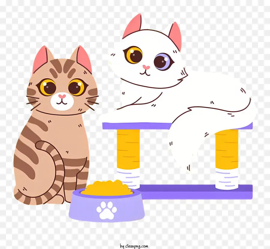 القطط على الطاولة，القطط ترتدي الياقات PNG