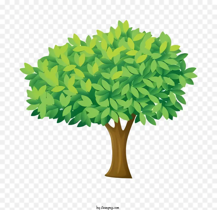شجرة خضراء，فروع PNG
