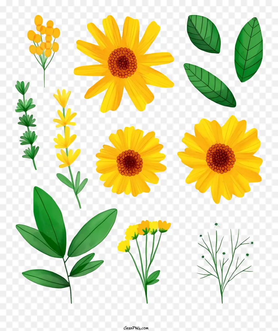 الزهور，الزهور الصفراء PNG