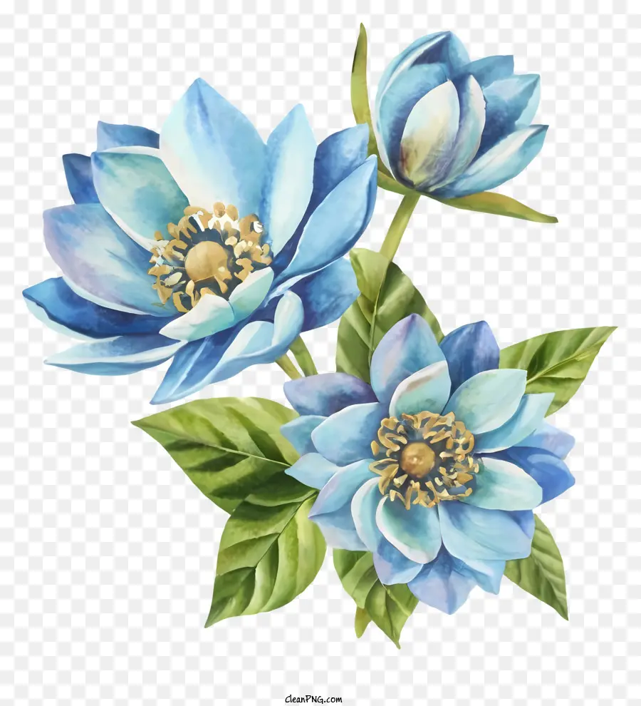 ألوان مائية التوضيح，الزهور الزرقاء PNG