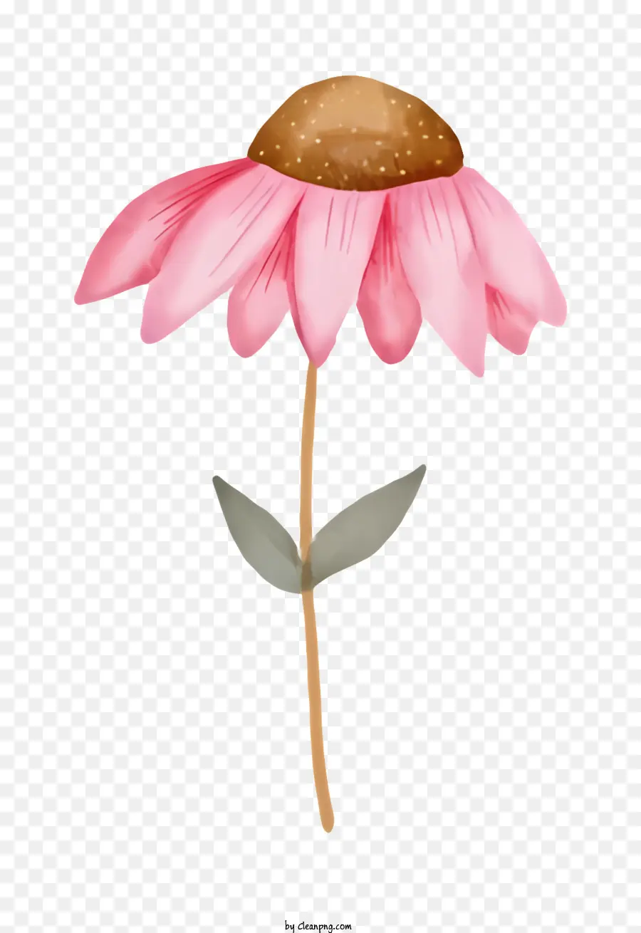 زهرة الوردي，جذع بني PNG
