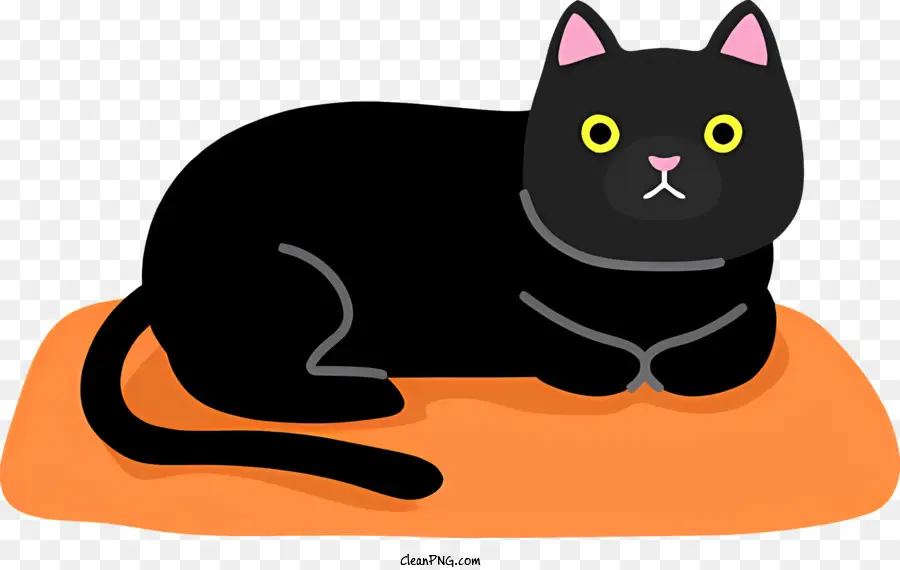 القط الأسود，وسادة برتقالية PNG