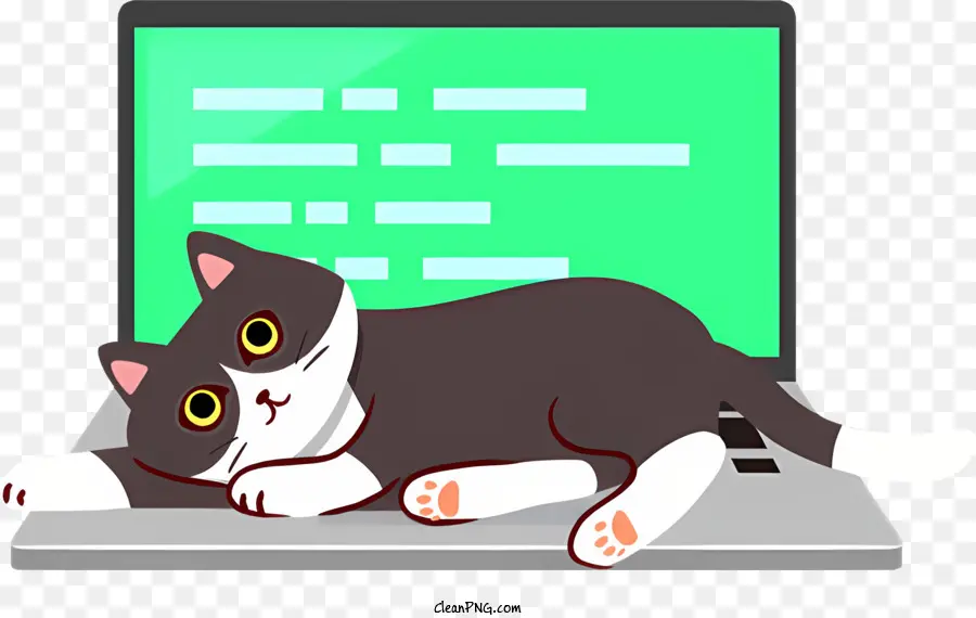 القط على الكمبيوتر المحمول，القط والكمبيوتر المحمول PNG