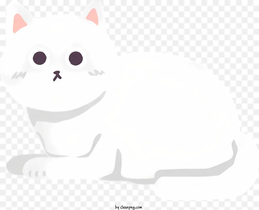 القط，القط الأبيض PNG