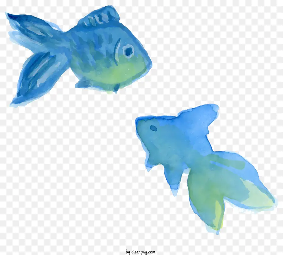الأسماك，زعانف زرقاء PNG
