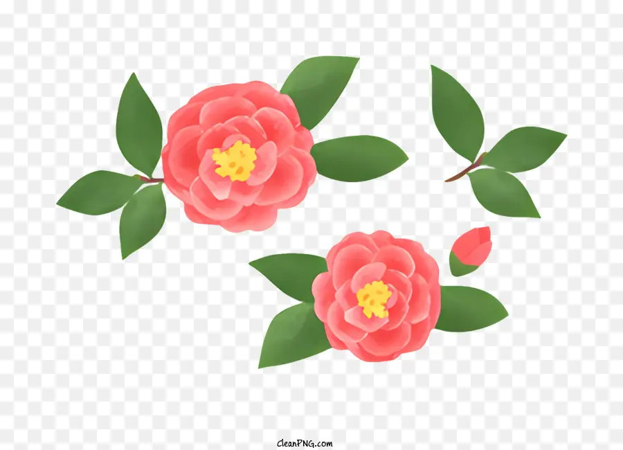 الزهور الوردية，الأوراق الخضراء ، PNG