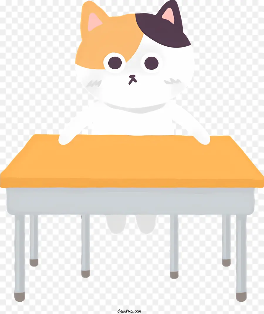 القط الكرتون，القط الرسم PNG