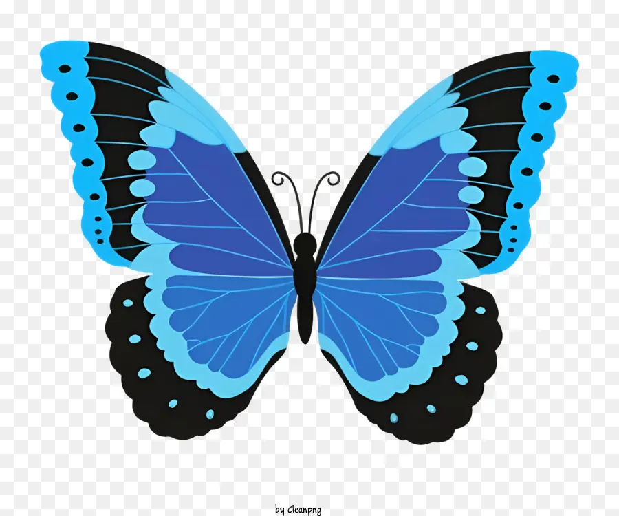 فراشة，الفراشة الزرقاء PNG