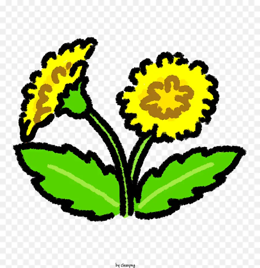 الزهور الصفراء，الأوراق الخضراء ، PNG