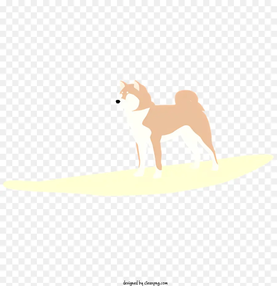 الكلب على الشاطئ，كلب يقف PNG