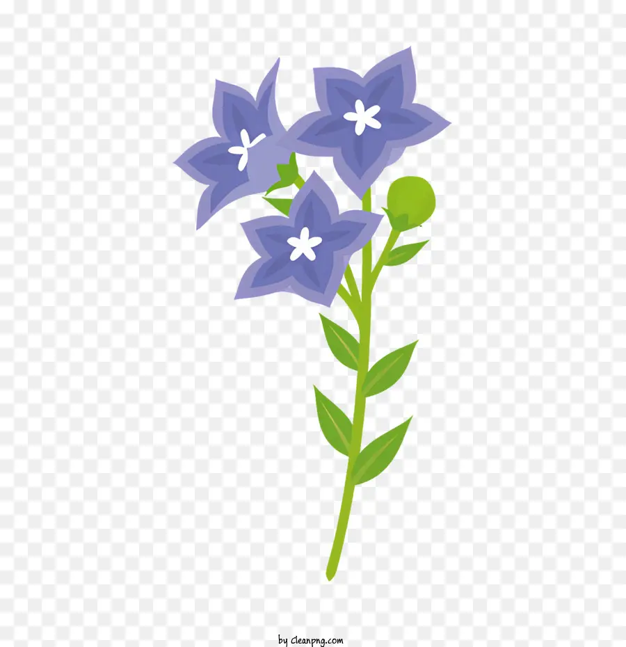 الزهرة الزرقاء，الزهور البيضاء PNG