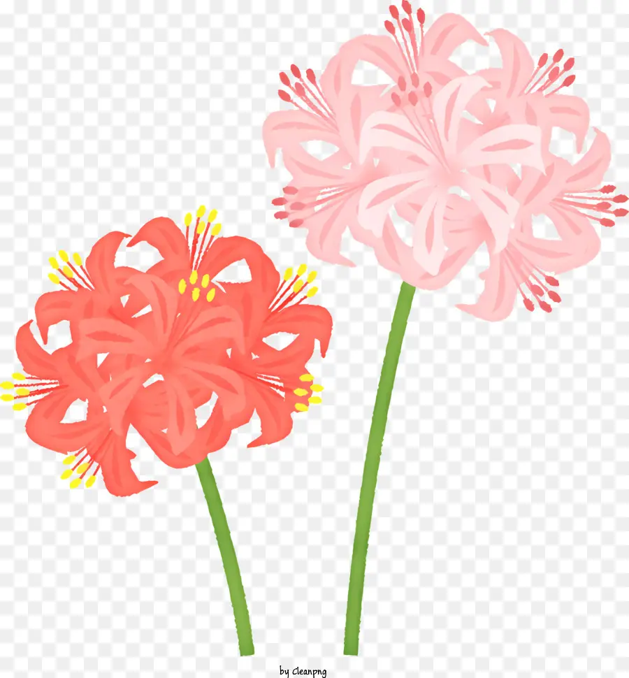 الكرتون，الزهور الوردية PNG