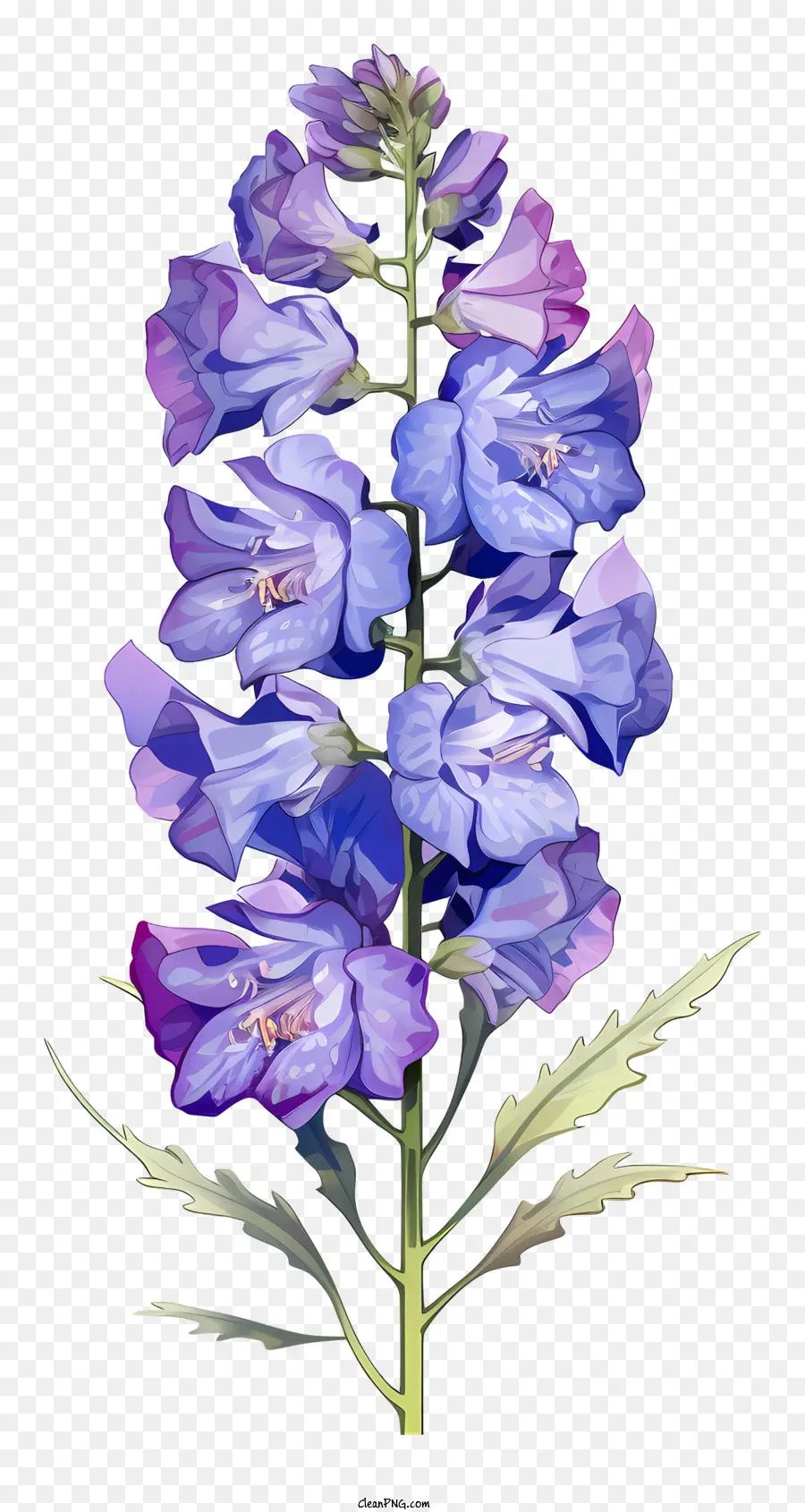 باستيل دلفينيوم زهرة，الزهرة الزرقاء PNG