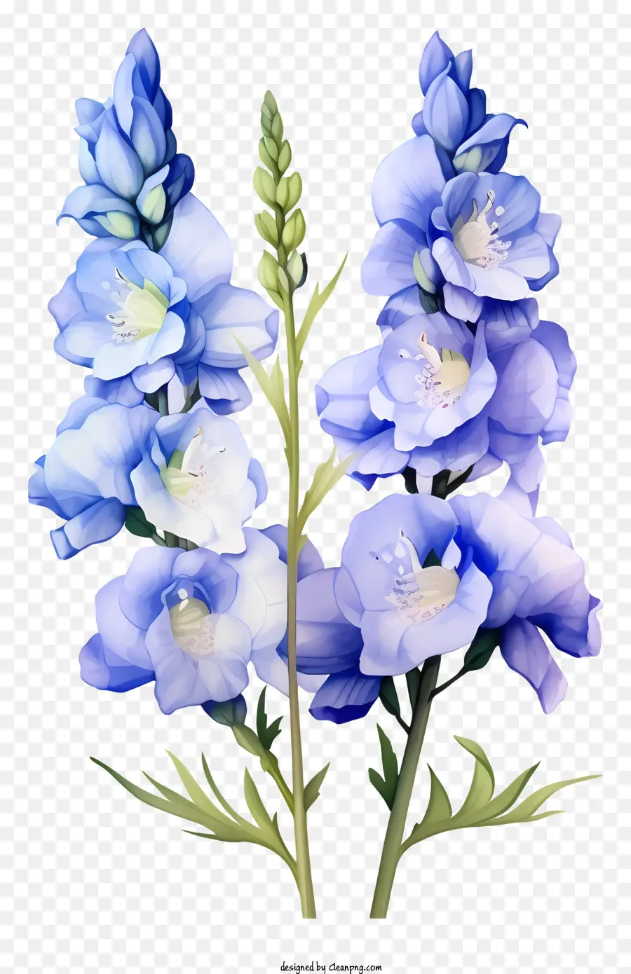 زهرة دلفينيوم مسطحة，باقة القزحية الزرقاء PNG