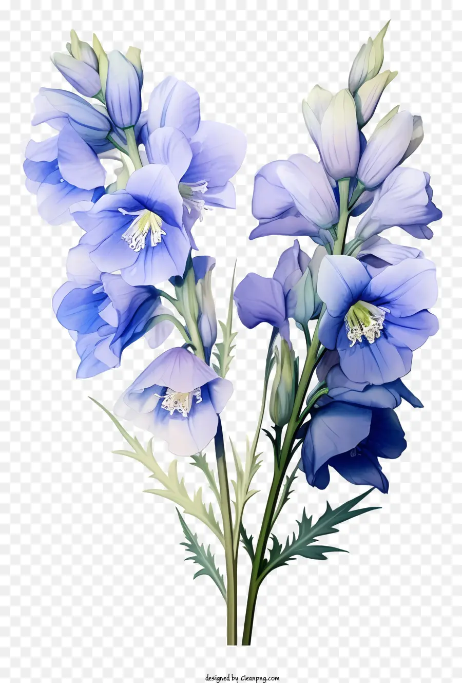 زهرة دلفينيوم مسطحة，الزهور الزرقاء PNG