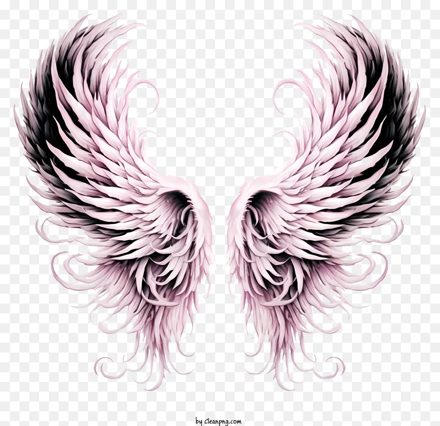 رسم أجنحة الملاك，أجنحة الملاك PNG