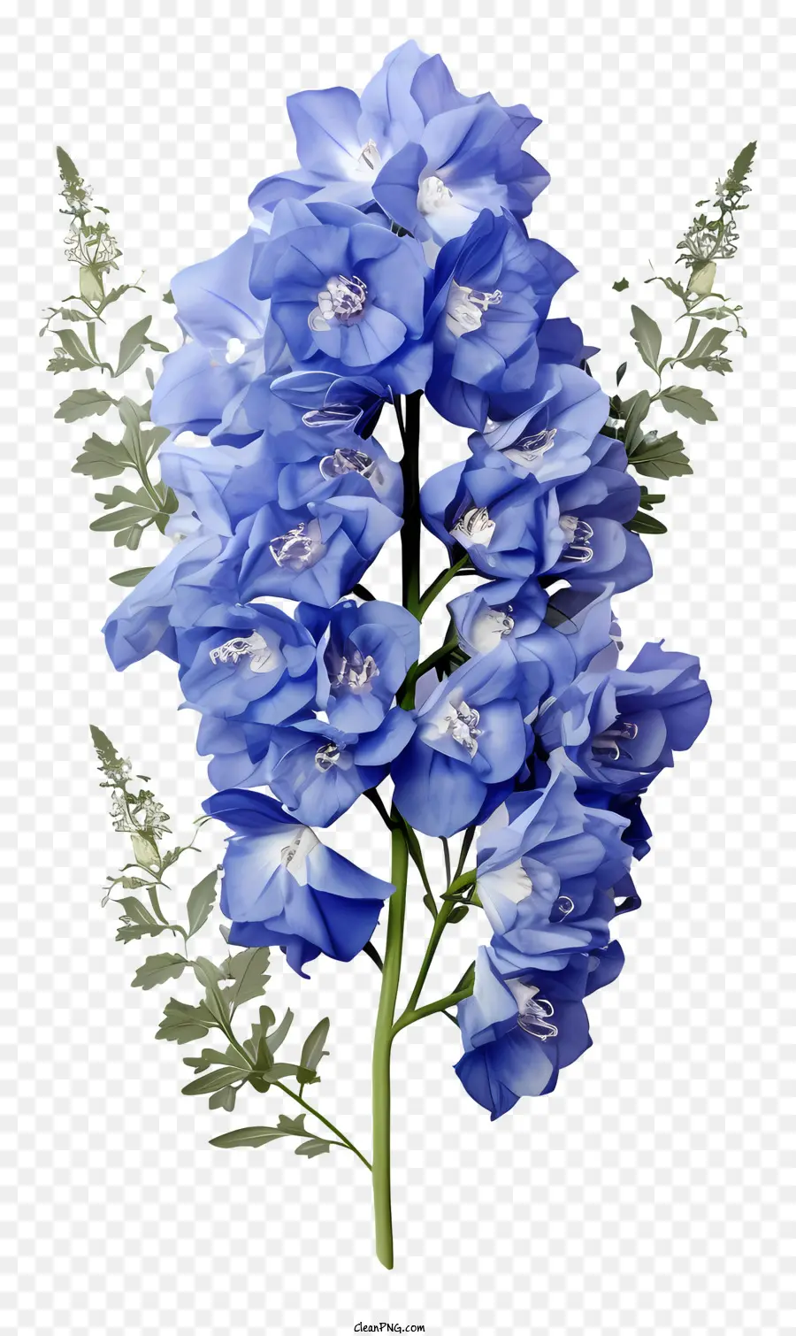 حفنة من زهرة الدلفينيوم，الزهور الزرقاء PNG