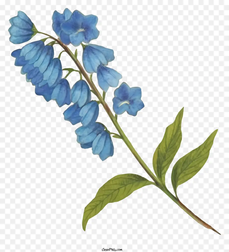 الكرتون，الزهرة الزرقاء PNG