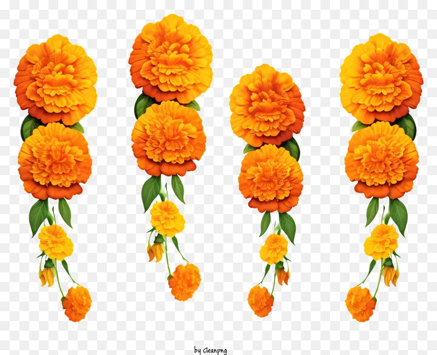 إكليل زهرة مئوية الكرتون，زهور البرتقال PNG