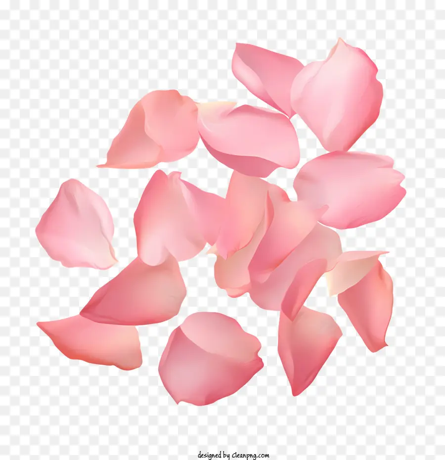 بتلات الورد，الوردي PNG