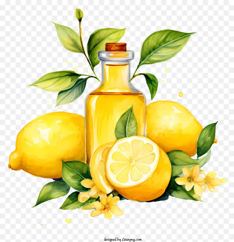 زيت الليمون，لوحة ألوان مائية PNG