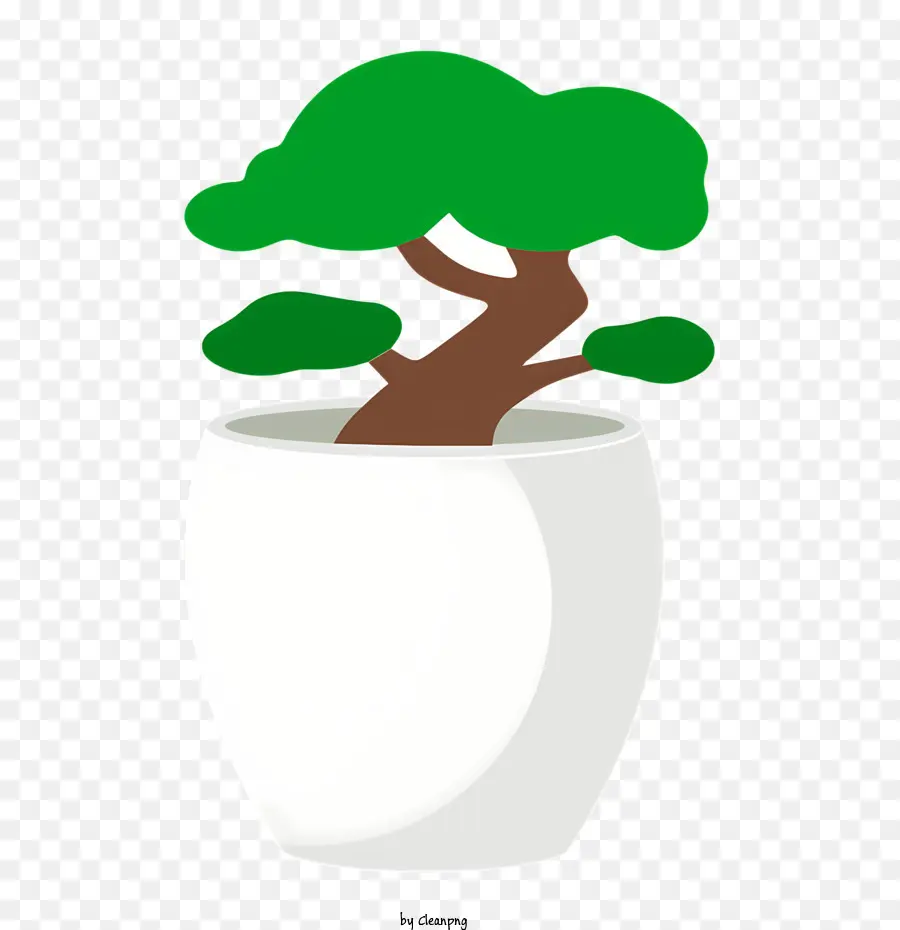 شجرة بونساي，شجرة دائمة الخضرة PNG