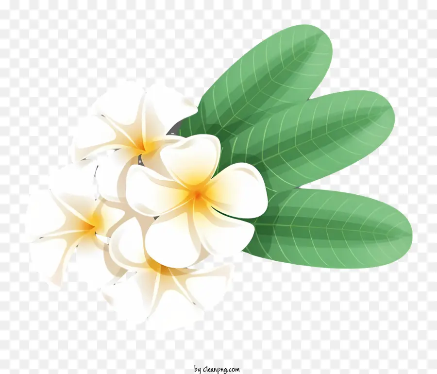 زهور أعمدة بيضاء，ترتيب زهرة متتالية PNG